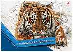 Альбом для рисования 20л &quot;Тигр&quot; 8567 Academy style {Россия}