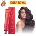 Igora Royal