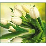 Фотообои Белые тюльпаны 294*260