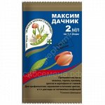 Максим Дачник 2мл.