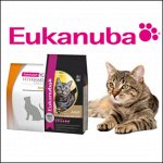 Eukanuba корм для кошек