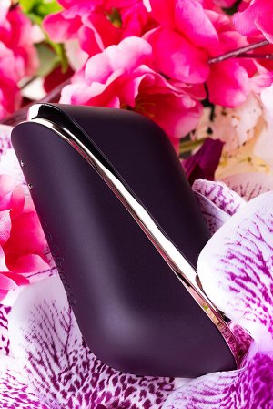 Вакуум-волновой стимулятор клитора Satisfyer Traveler, силикон, баклажан, 10,7 см