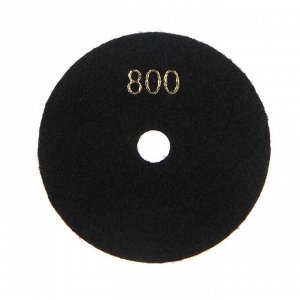 Алмазный гибкий шлифовальный круг ТУНДРА "Черепашка", для сухой шлифовки, 100 мм, № 800
