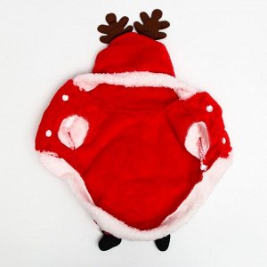 Куртка на кнопочках с меховой отделкой Santa, XXL (ДС 36, ОШ 40, ОГ 42 см)