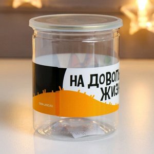 Копилка-банка пластик "На довольную жизнь"