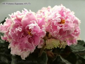 НК - Риздвяна карамель