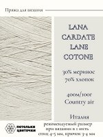 Пряжа для вязания Lanecardate, 100 гр., Country air