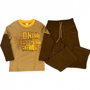 Комплект брюки и джемпер цвет коричневый