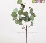 Эвкалипт Populus.Искусственные растения