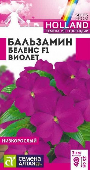 Бальзамин Беленс Виолет/Сем Алт/цп 5 шт. Голландия НОВИНКА