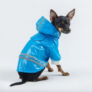 Куртка со светоотражающими полосами, размер M, голубая (длина спинки - 20 см, объем груди - 34 см)