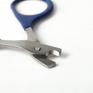 Ножницы-когтерезы изогнутые с прорезиненными ручками, отверстие 6 мм, тёмно-синие