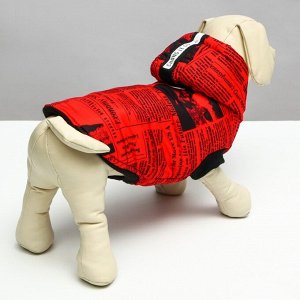 Куртка для собак "Газета", размер L (ДС 34, ОШ 40, ОГ 48 см), красно-чёрная