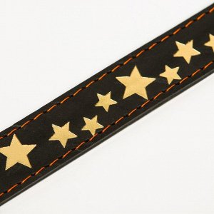 Ошейник кожаный однослойный, тиснёный «Звезды», 60 х 2,5 см, ОШ 38-51 см, чёрный с золотым