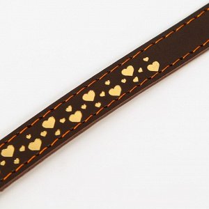 Ошейник кожаный однослойный, тиснёный «Сердечки», 48х2 см, ОШ 32-43 см, коричневый с золотом