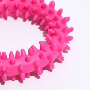 Игрушка жевательная "Кольцо с шипами", TPR, 9 см, микс цветов