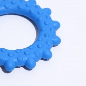 Игрушка жевательная "Кольцо с шипами", TPR, 8 см, микс цветов