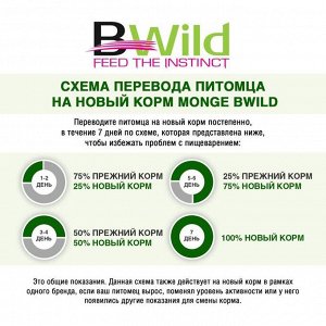 Влажный корм Monge Dog BWild GRAIN FREE для взрослых собак, ягненок/тыква/кабачки, 400 г