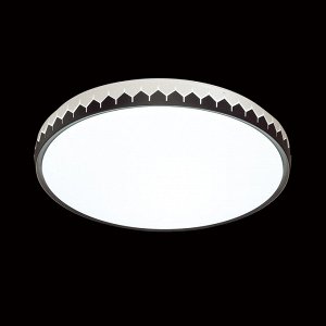 3053/CL SN 023 Светильник пластик/черный LED 30Вт 4000К D335 IP43 DORTA