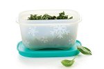 Охлаждающие лотки Мини 170 мл 1шт - Tupperware®.