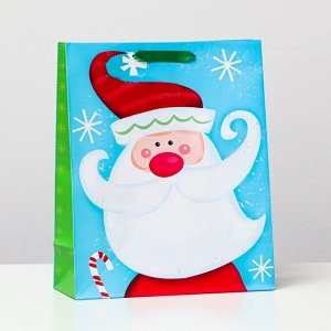 Пакет ламинированный "Дед мороз-красный нос", 26 x 32 x 12 см