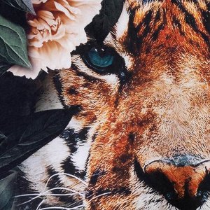 Постельное белье Этель евро «Tiger» 200*215 см, 220*240 см, 70*70 см - 2 шт.