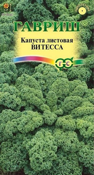 Капуста листовая Витесса (Код: 88652)