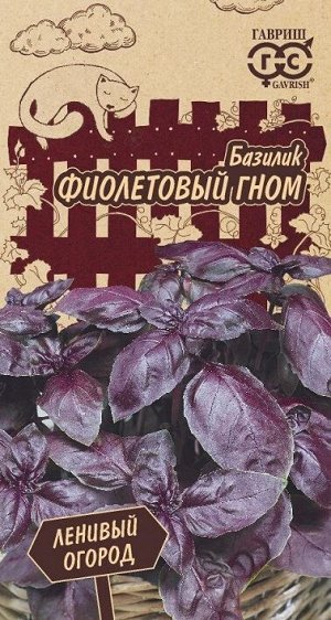 Базилик Фиолетовый гном (Код: 88648)