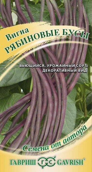 Вигна Рябиновые бусы (Код: 88650)