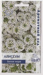Алиссум Белое море (Код: 76315)