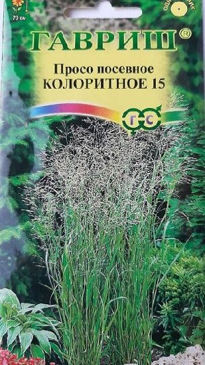Просо Колоритное-15 (Код: 88685)