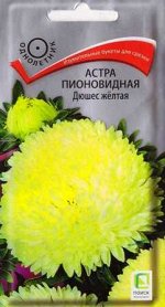 Астра Дюшес Желтая (Код: 86314)