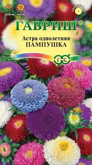 Астра Пампушка смесь (Код: 88970)