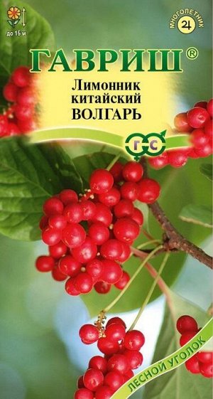 Лимонник китайский Волгарь (Код: 89009)