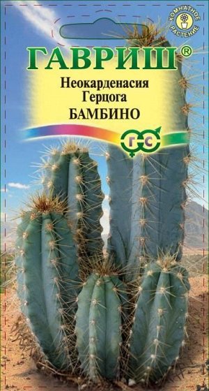 Неокарденасия Герцога Бамбино (Код: 88677)