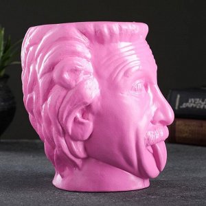 Кашпо - органайзер "Эйнштейн" розовый неон, 16х15см