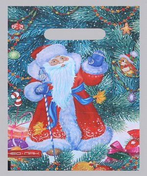 Пакет "Дед Мороз", полиэтиленовый с вырубной ручкой, 20 х 30 см, 30 мкм 5297807