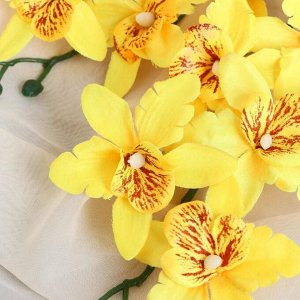 Цветы искусственные "Орхидея Фаленопсис мультифлора" 6х37 см, жёлтый