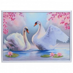 Картина "Лебеди в пруду с лилиями" 50х70(53х73) см