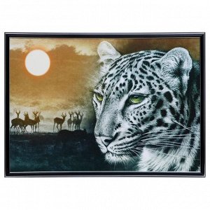Картина "Гепард в Африке" 50х70(53х73) см