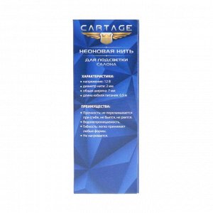 Неоновая нить Cartage для подсветки салона, адаптер питания 12 В, 2 м, желтый