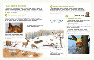 (Обл) Энциклопедия для дошкольников. Животные вокруг нас (7773) меловка