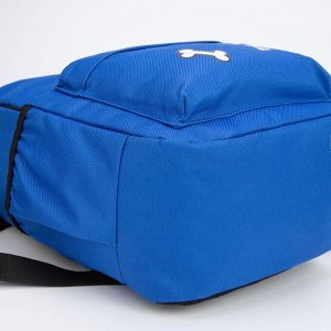 Рюкзак детский, отдел на молнии, наружный карман, дышащая спинка, 2 боковых кармана, цвет синий, «Корги»