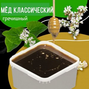 Медовый десерт Гречишный