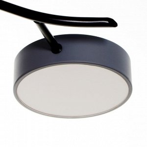 Люстра 1316/9GR LED 216Вт 3000-6000К серый 87х87х17 см