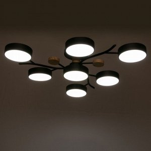 BayerLux Люстра 1316/7BK LED 168Вт 3000-6000К черный 74х74х17 см