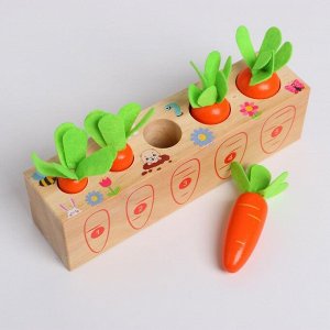 Развивающий набор «Посади разные морковки» 20 ? 5,5 ? 5 см