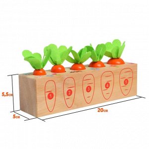 Развивающий набор «Посади разные морковки» 20 ? 5,5 ? 5 см