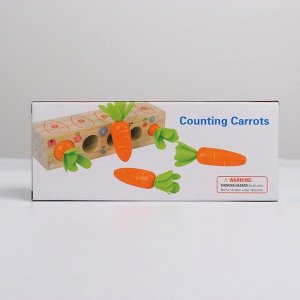 Развивающая набор «Посади разные морковки» 20х5,5х5 см