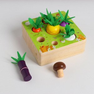 Развивающий набор «Вытащи овощи и грибы» 15х15х11 см